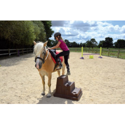Cavaletti-Aufsteighilfe EASY-STEP* 2 Stufen : p1216261
