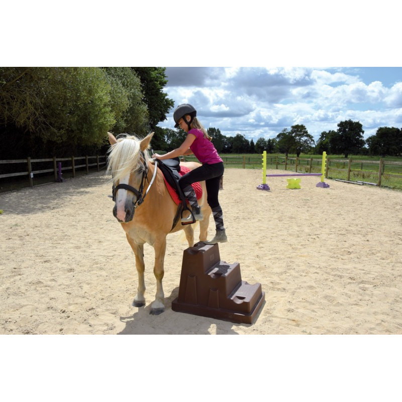 Cavaletti-Aufsteighilfe EASY-STEP* 2 Stufen : p1216261