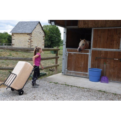 Sackkarre : p1215901