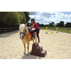 3 Stufen EASY-STEP Aufsteighilfe-Cavaletti : p1216265