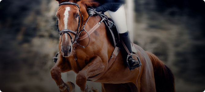 Springreiten