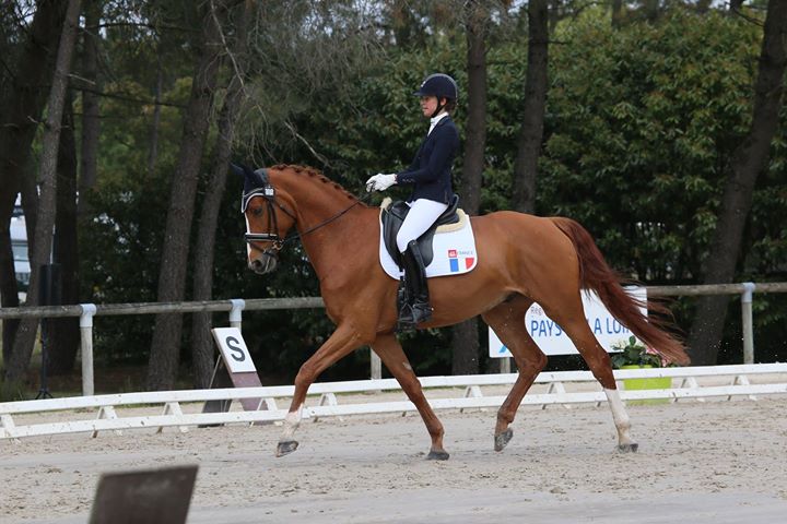 Carla-Marie_Dufil_Dressurreiterin